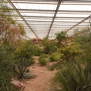 Burgers' Desert - Main view