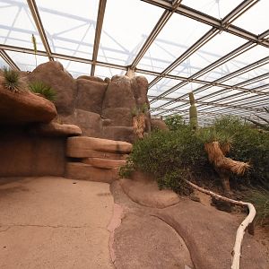 Burgers' Desert - Main view