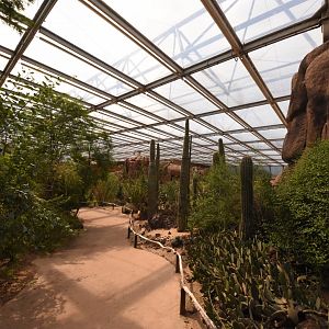 Burgers' Desert - General view