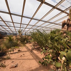 Burgers' Desert - General view