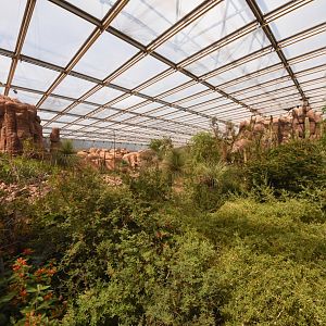 Burgers' Desert - General view