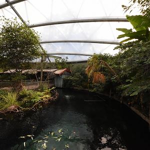 Burgers' Mangrove - Manatee tank separation part