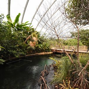 Burgers' Mangrove - Manatee tank separation part