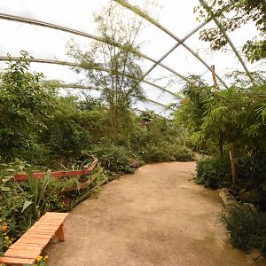 Burgers' Mangrove - Dry forest