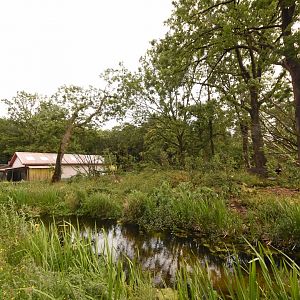 Squirrel Monkey and Coati enclosure