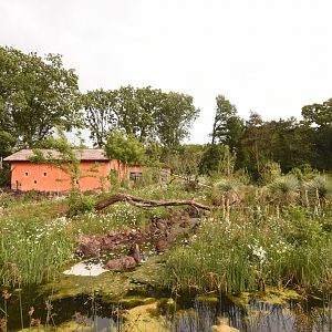 Ring-tailed & Black Lemur enclosure