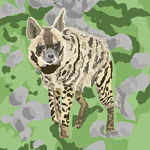 Striped hyena