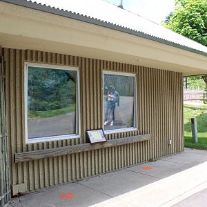 Walkabout Creek - Ferret Exhibit