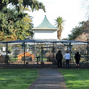 Aviary, Queen Elizabeth Park, Masterton