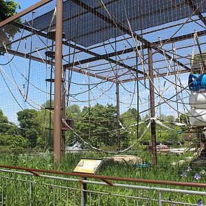 Spider Monkey Exhibit - Vanishing Kingdom