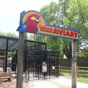 Parakeet Aviary