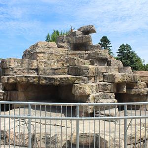 West Caucasian Tur Exhibit