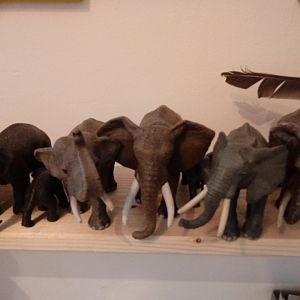 Elephants