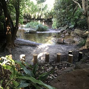 Pygmy Hippo Enclosure