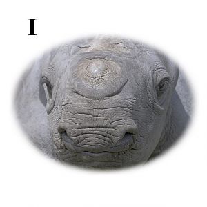 Problem Pictures from June 1st Puzzle