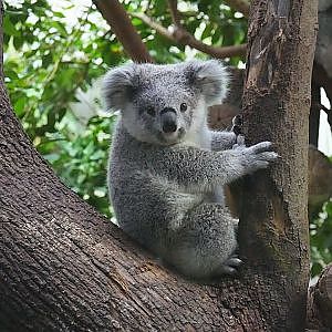 Paul & Lynsey's Zoo Tour #101 Zoo Duisburg - YouTube