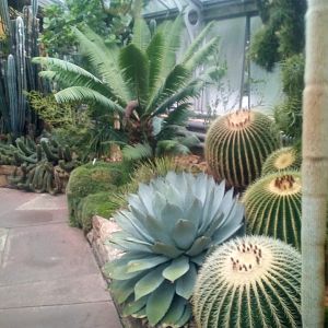 Historical Green House