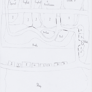 First sketch of the Sonora desert area