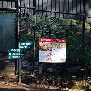 Spider Monkey Signage