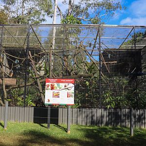 Golden Lion Tamarin/Pygmy Marmoset Enclosure