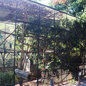 Emperor Tamarin Enclosure