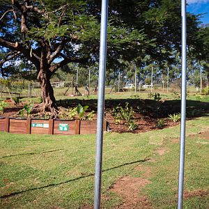 Construction of New Primate Enclosure