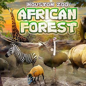 The Houston Zoo's African Forest | Zoo Tours
