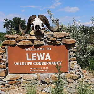 Lewa entrance