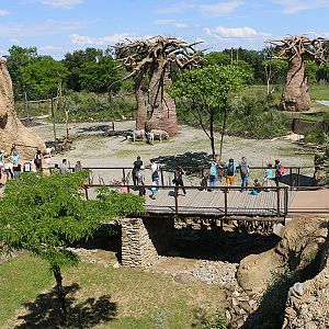 View from canyon into main savanna enclosure and separation yard