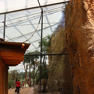 View from aviary into giraffe and rhino house