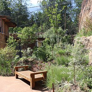 between aviary and giraffe and rhino house