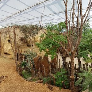 indoor rhino enclosure