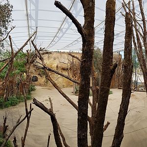 indoor giraffe enclosure