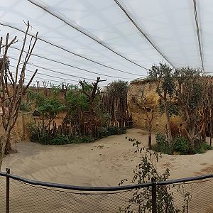 indoor giraffe enclosure