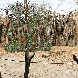 rhino indoor enclosure floor view