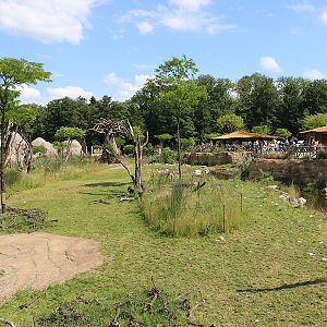 Lewa center viewpoint