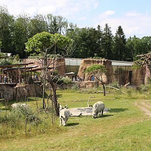 Lewa center viewpoint