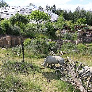 Lewa center viewpoint