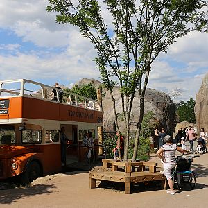 safari bus viewpoint