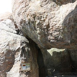 porcupine indoor viewing