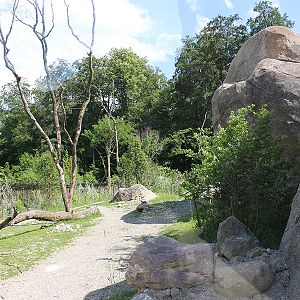 Hyena enclosure