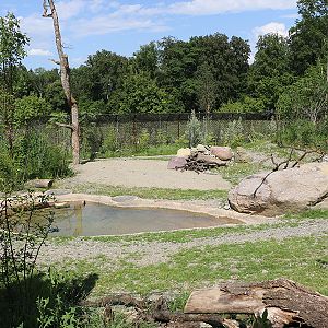 Hyena enclosure