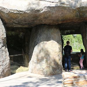 Hyena den viewpoints