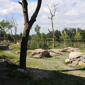 Hyena enclosure
