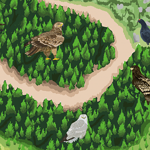 Raptor Woods - Map of Turkish exhibit