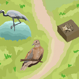 Salt pans of Anatolia - Map of Turkish exhibit