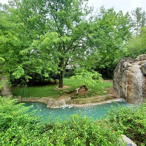 Jun. 2020 - Africa - Cheetah Exhibit