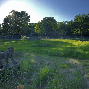 6/5/2020 - Panoramic Shot