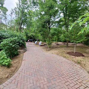 Jun. 2020 - Children's Zoo - Removed Penguin Walkabout