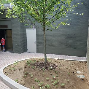 Jun. 2020 - Mai Thai's Market - No More Bird Cage